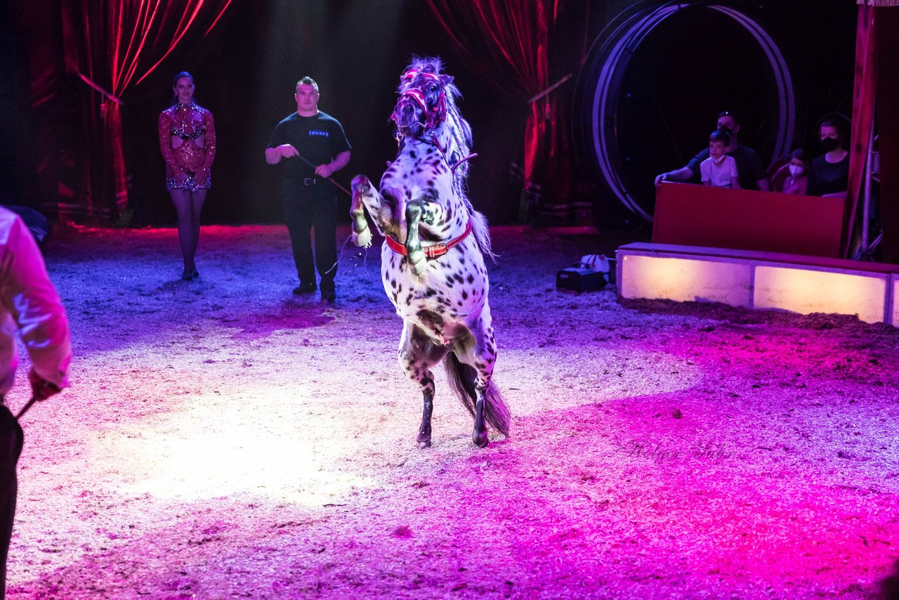 Bild 400 - Zirkus Europa